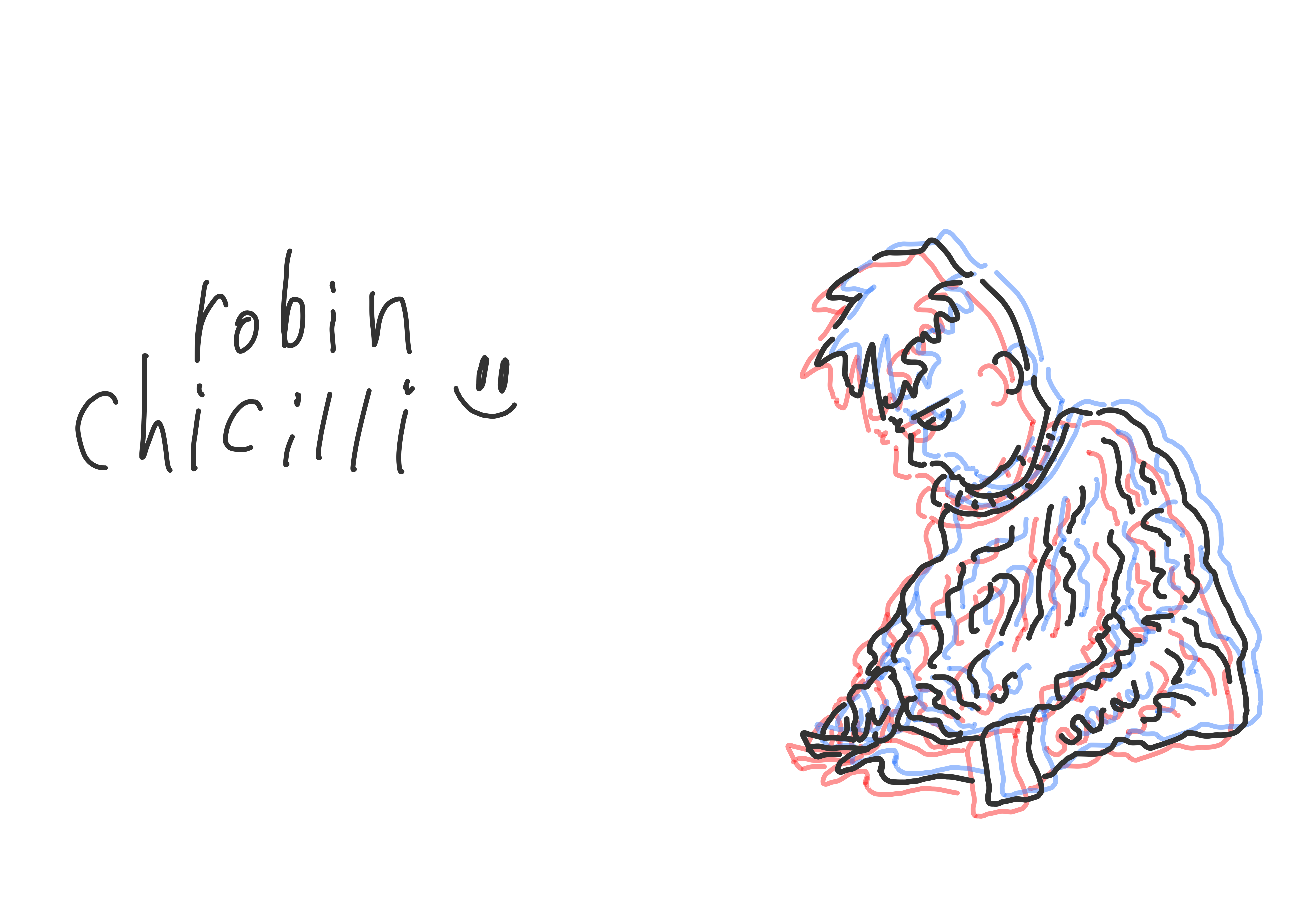 The website's banner: A doodle of Robin on the right, and the text 'robin chicilli' on the left.